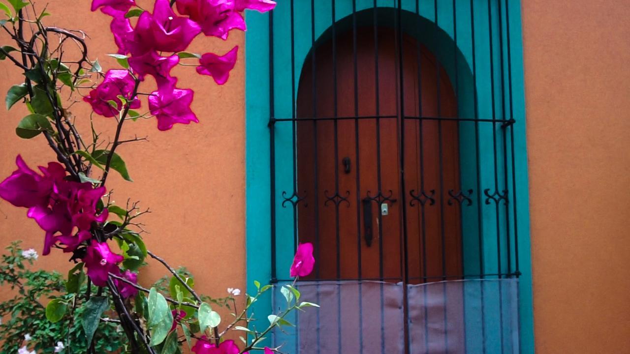 Casa Frida B&B Oaxaca Екстер'єр фото