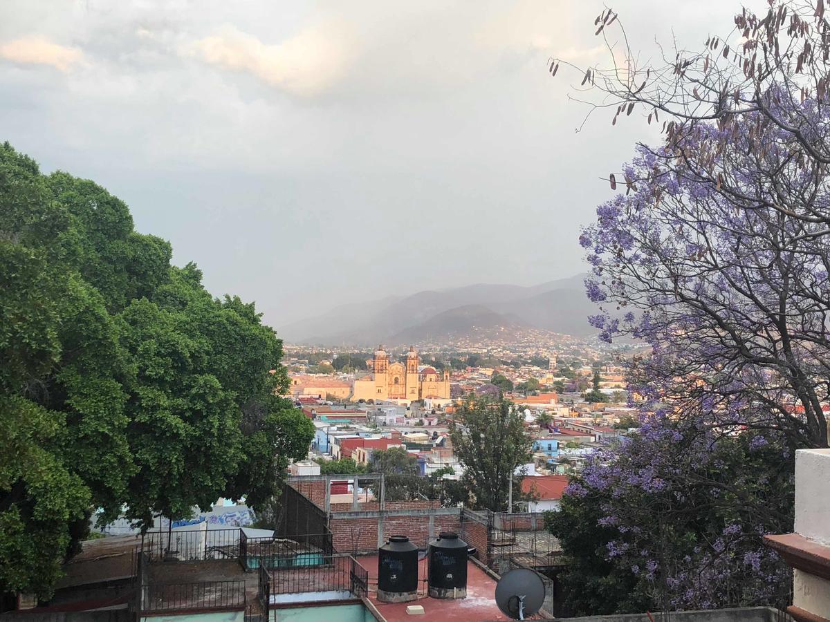 Casa Frida B&B Oaxaca Екстер'єр фото